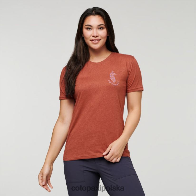 Cotopaxi Organiczna koszulka damska Spice Lama Lover pochodzenia cotopaxi BDNZ80179 przyprawa