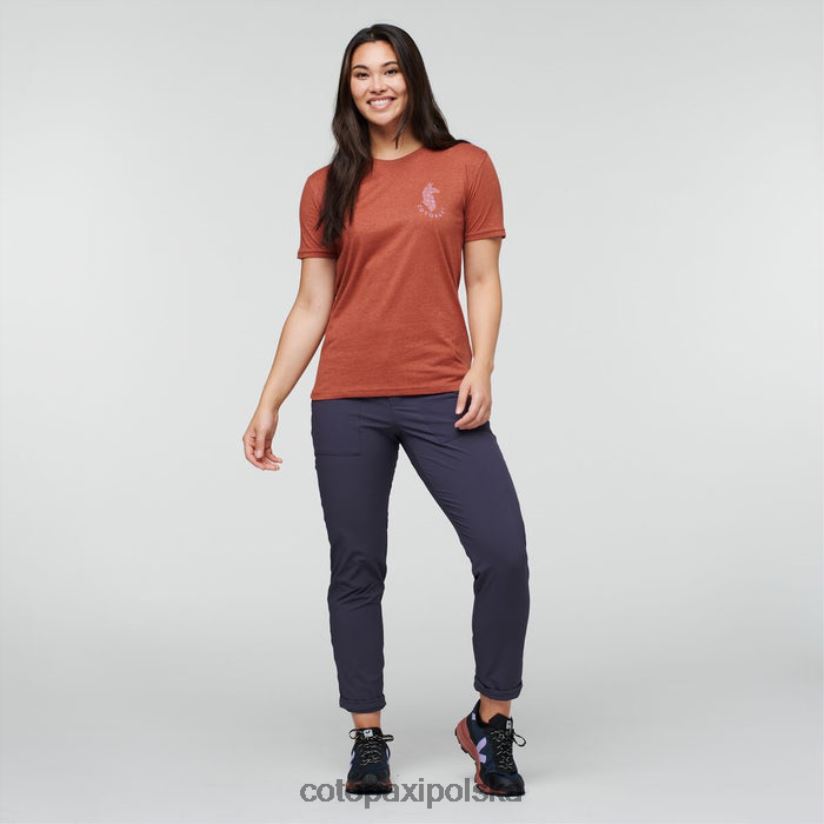 Cotopaxi Organiczna koszulka damska Spice Lama Lover pochodzenia cotopaxi BDNZ80179 przyprawa
