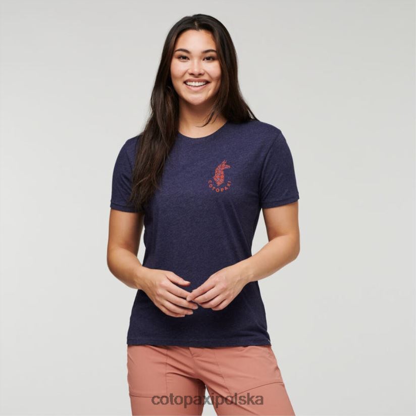 Cotopaxi kolekcje morskie Lama Lover Organiczna koszulka damska cotopaxi BDNZ80178 morski