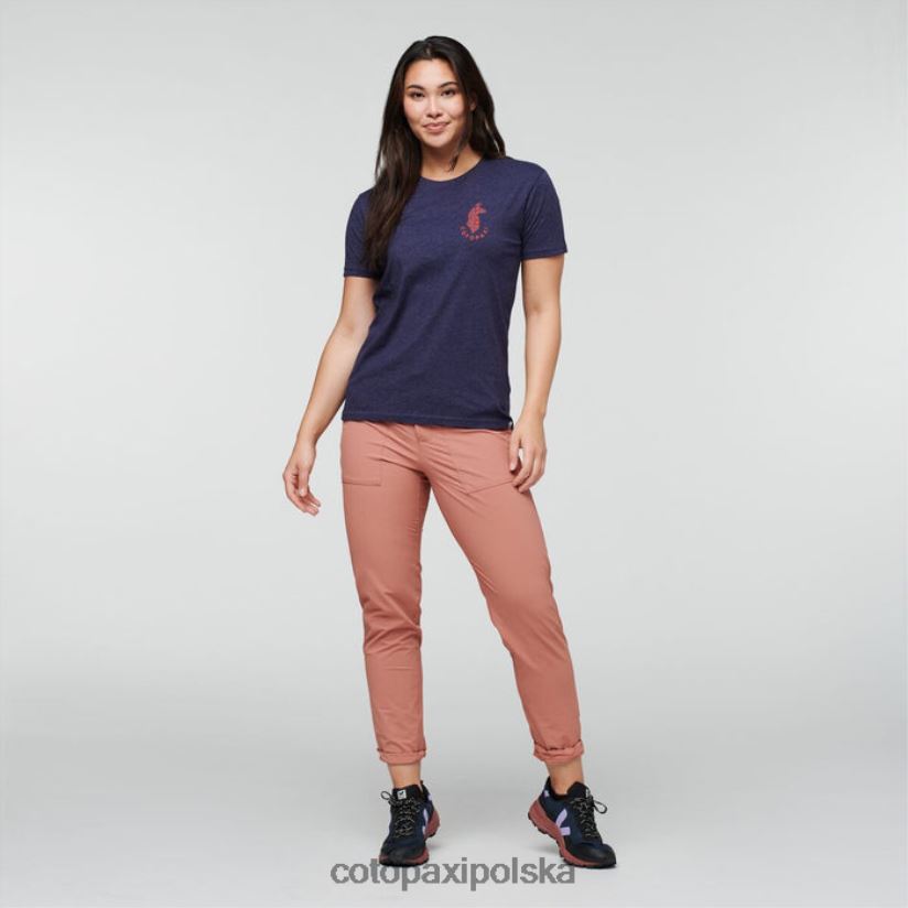 Cotopaxi kolekcje morskie Lama Lover Organiczna koszulka damska cotopaxi BDNZ80178 morski