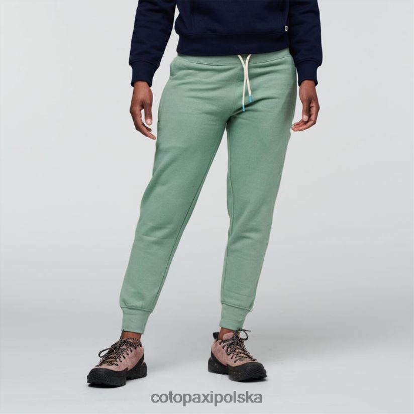 Cotopaxi Organiczne spodnie dresowe damskie ze srebrnymi liśćmi, cotopaxi BDNZ80286 srebrny Liść