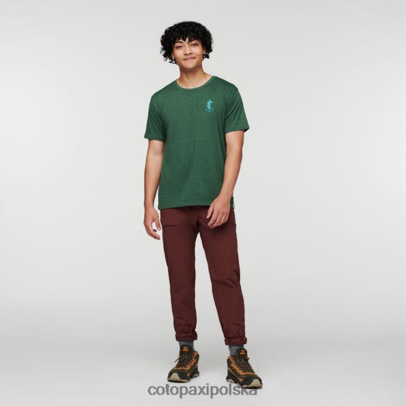 Cotopaxi Modna, organiczna koszulka męska dla miłośników lam leśnych, cotopaxi BDNZ80330 las