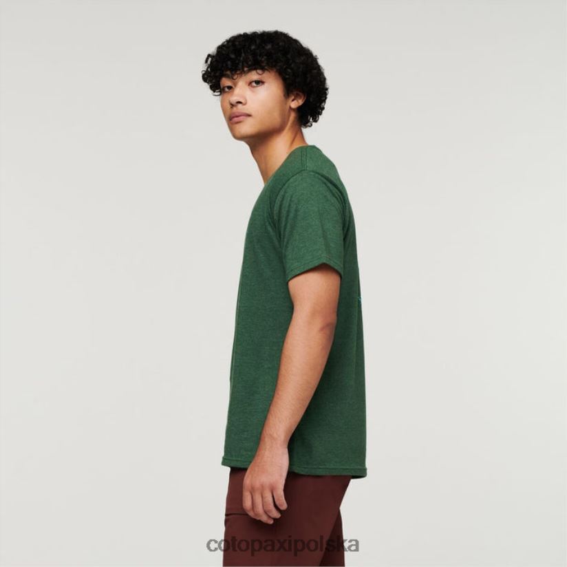 Cotopaxi Modna, organiczna koszulka męska dla miłośników lam leśnych, cotopaxi BDNZ80330 las