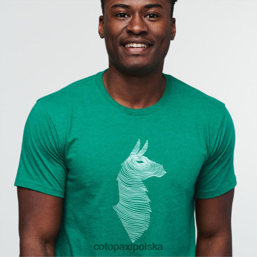 Cotopaxi Verde Fashion Cotopaxi Topo Lama T-shirt męski BDNZ80297 zielony