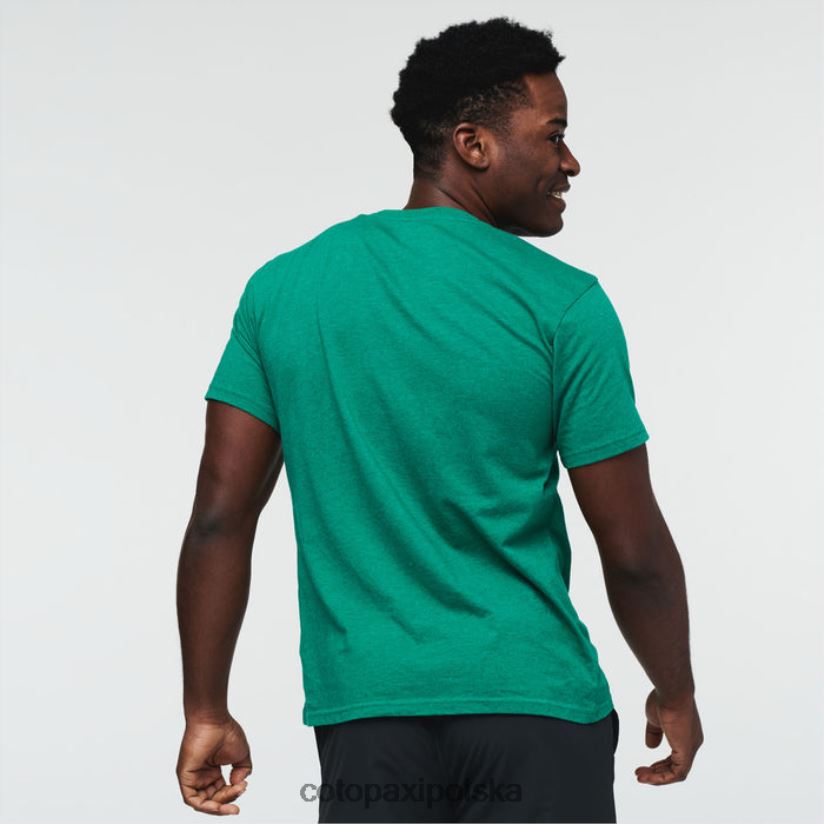 Cotopaxi Verde Fashion Cotopaxi Topo Lama T-shirt męski BDNZ80297 zielony
