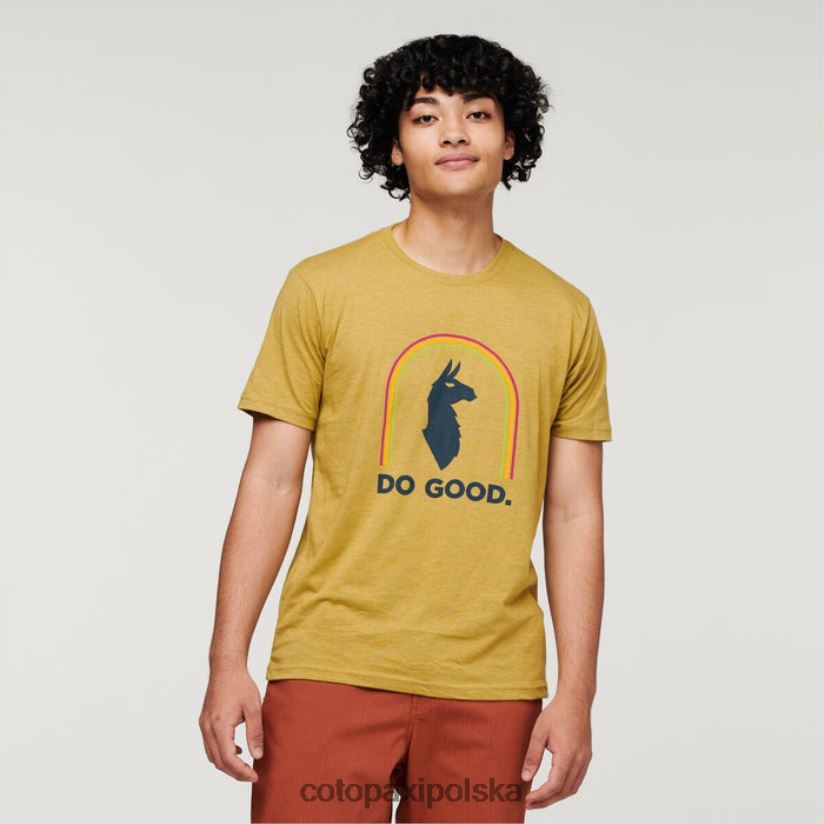 Cotopaxi chmielowe słońce czyń dobry organiczny t-shirt męski marki cotopaxi BDNZ80324 chmiel