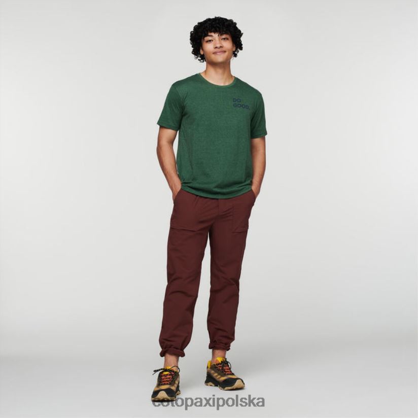 Cotopaxi najlepsza ekologiczna koszulka męska cotopaxi z dzikiego zachodu, las BDNZ80328 las