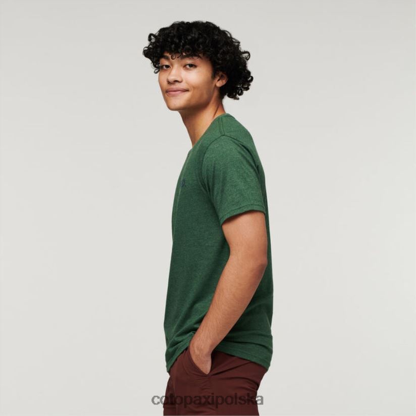Cotopaxi najlepsza ekologiczna koszulka męska cotopaxi z dzikiego zachodu, las BDNZ80328 las