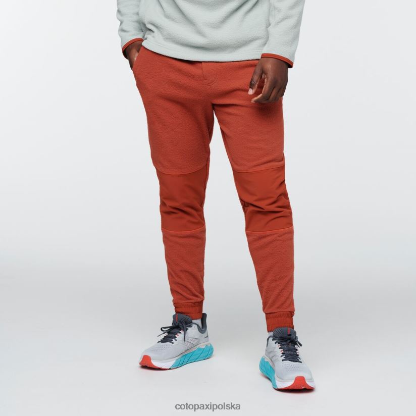 Cotopaxi Męskie polarowe joggery Spice Fashion Cotopaxi Abrazo BDNZ80825 przyprawa