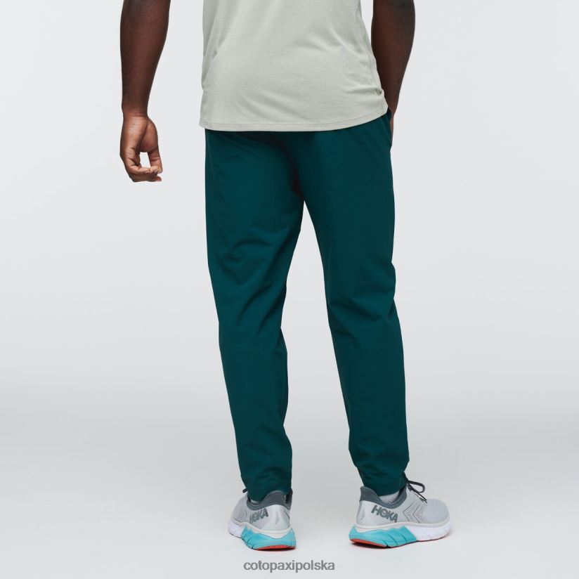 Cotopaxi Męskie spodnie Veza Adventure z kolekcji Deep Ocean, cotopaxi BDNZ80826 głęboki ocean