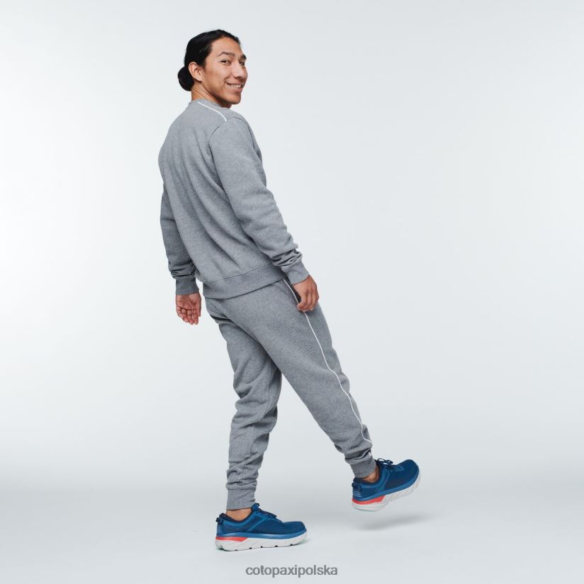 Cotopaxi Męskie spodnie dresowe marki cotopaxi w kolorze szarym BDNZ80819 wrzosowy szary