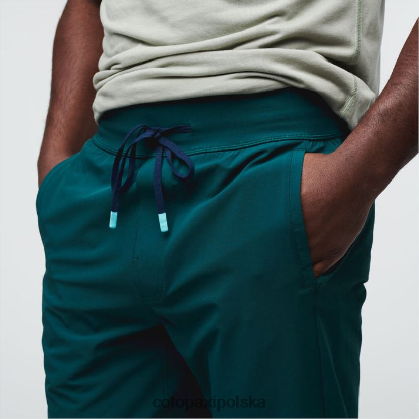 Cotopaxi Męskie spodnie przygodowe Deep Ocean Origins cotopaxi veza BDNZ80345 głęboki ocean