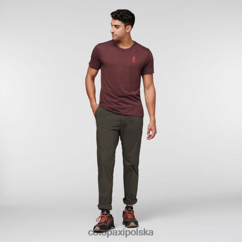 Cotopaxi Spodnie ripstop cotopaxi salto męskie z kolekcji iron BDNZ80342 żelazo