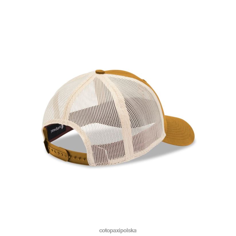 Cotopaxi gorący cotopaxi bursztynowy kapelusz lamy trucker BDNZ80855 bursztyn