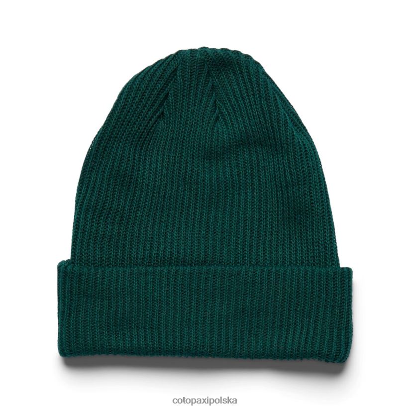 Cotopaxi marki Wharf Beanie Cotopaxi Forest BDNZ80853 las